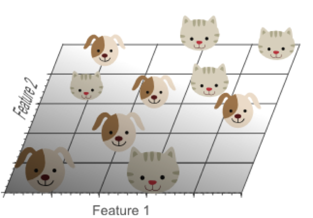 image-20190218154542967