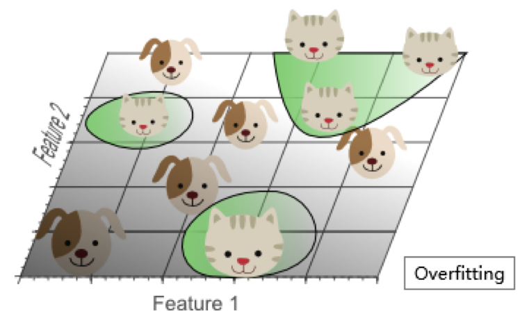 image-20190218154825320