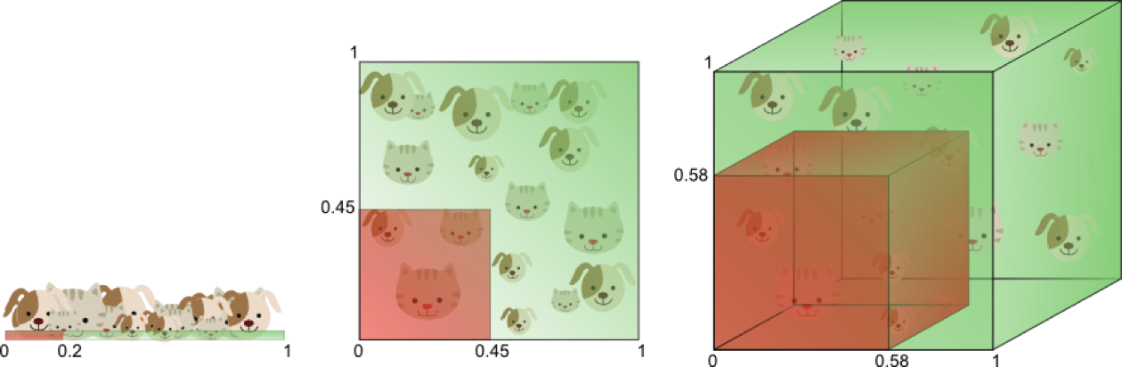 image-20190218155038866